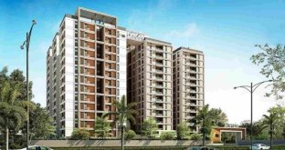 Chemical & Fertilizer Chemical Industry