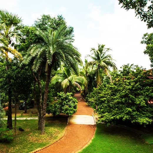 The Garden Bungalow